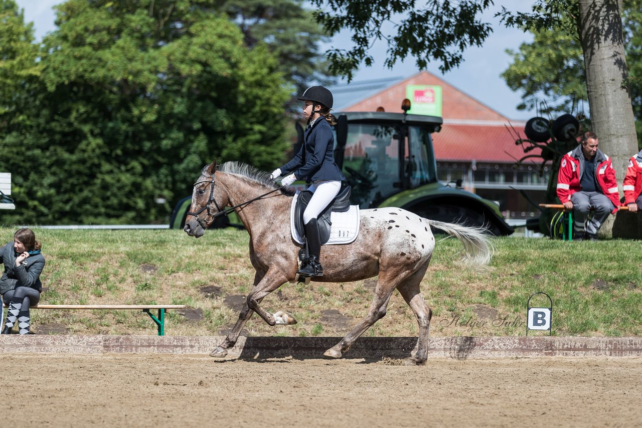 Bild 703 - Pony Akademie Turnier